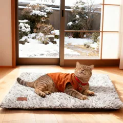ペット用ホットカーペット 電気不用 猫用 ホットマット 洗える ペットヒーター 猫 あったかグッズ ペット用保温マット 体温で蓄熱 猫 ベッド 寒さ対策 冬グッズ やわらか あったか 小動物対応 滑り止め（ライトグレイ 61×46cm） 3a6b3c74