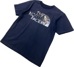THE NORTH FACE ☆ マウンテン背景◎ ロゴ 半袖 Tシャツ ネイビー M 登山 ハイキング アウトドア キャンプ 人気 ノースフェイス■FA221