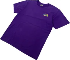 THE NORTH FACE ☆ カラフルロゴ◎ テック Tシャツ 半袖 パープル L ハイキング アウトドア キャンプ タウンユース ノースフェイス■S2113