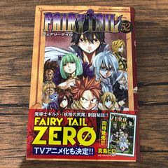 FAIRY TAIL 100 YEARS QUEST 23巻【4月の最新刊】 - メルカリ