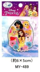 キャラクター 刺しゅう ワッペン ディズニープリンセス 5人  pao- （MY489）  ディズニープリンセス ワッペン ラプンツェル ワッペン アリエル ワッペン シンデレラ ワッペン  アップリケ