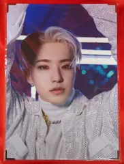 SEVENTEEN spider HOSHI PREMIUM PHOTO 01