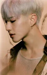 SEVENTEEN HOSHI Spider 4