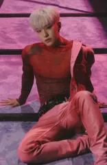 SEVENTEEN HOSHI Spider 39