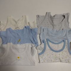 Item thumbnail for item ce2301f7-2814-4d90-adfe-3ef01e20c46d