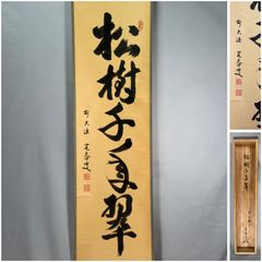 大徳寺 黄梅院 小林太玄 「松樹千年翠」掛軸 共箱 一行書 茶掛 O-18