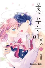 初回版 特装版 花に 大根 癖 1 2 巻