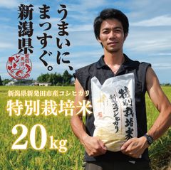農薬化学肥料除草剤不使用 R7年度米愛媛県産ひめの凛 稲架掛け米 20kg