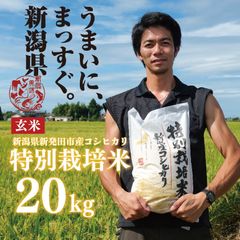 ぴっぴさま専用ページです！【令和7年度新米】近江米 虹のきらめき