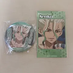 Dr.STONE 石神千空 缶バッジ ミニフォト アニメイト ポイント景品