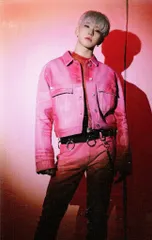 SEVENTEEN HOSHI Spider 33