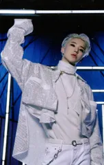 SEVENTEEN HOSHI Spider 31