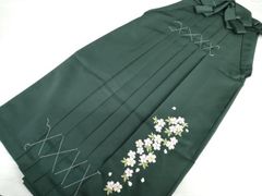 Item thumbnail for item b1e354e4-ddf8-4f06-9169-d3d2b05fcfd1