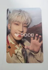 Seventeen セブチ ウォヌ Face the Sun ep.3 Ray Ver.