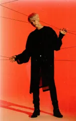 SEVENTEEN HOSHI Spider 9