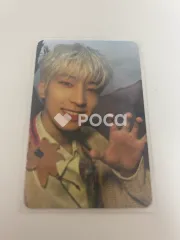 Seventeen セブチ ウォヌ Face the Sun ep.3 Ray Ver.