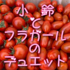 HIRO☆さん専用🍅 - メルカリ