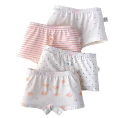 【新品】 [eipatu] キッズ ボクサーパンツ ガールズ パンツ ショーツ 女の子 ジュニア リボン インナー コットン 4枚セット 赤ちゃん 下着 子供パンツ 肌着 柄 かわいい (110, ボーダー＆ドット柄)