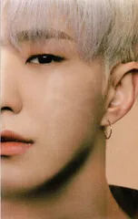 SEVENTEEN HOSHI Spider 5