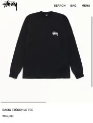STUSSY Tシャツ basic ls
