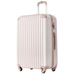 数量限定】チャーミークリアー L2 800ml キャニスター 日本製 ガラス
