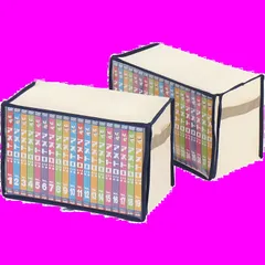 ライトベージュ DVDトールケース用 収納ボックス 2枚組 ホコリなどの汚れから守る DVD DVD収納ケース 収納 不織布 透明窓 アストロ 持ち手付き 609-05