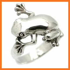 カエル シルバー925リング アクアマリン silver カエル シルバー925リング アクアマリン silver - メルカリ