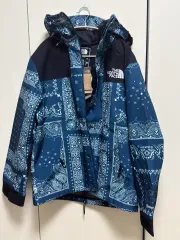ノースフェイス ノベルティ ゴアテックス マウンテン ジャケット L