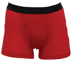 紳士 赤 幸運 ボクサーブリーフ（選べる2カラー) (5Lサイズ, 1.レッド)