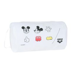 Item thumbnail for item 1700546a-60d9-4a99-9f2a-a8fb614c9048