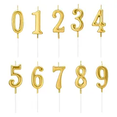  ケーキトッパー 数字0～9 10点セット バースデーナ ンバーキャンドル お祝い 記念日 結婚式 卒業パーティー ゴルード