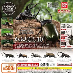 いきもの大図鑑 かぶとむし10 【全5種 コンプリート セット】 ｜ フルコンプ カプセルトイ ガチャ ガシャ