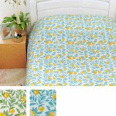 Item thumbnail for item 85975f44-d3bb-4036-871f-85af1ab80889