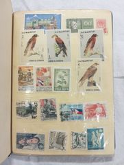 Item thumbnail for item 24d128e7-884d-4aaa-8d9f-6a35bf2970b5