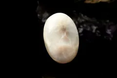 【１点物】天然沸石◇天眼模様 トムソナイト(沸石)　15x10mm　オーバル ルース パワーストーン 天然石 _PD750