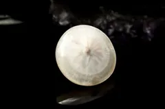 【１点物】天然沸石◇天眼模様 トムソナイト(沸石)　14x14mm　コイン ルース パワーストーン 天然石 _PD755