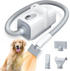 Item thumbnail for item 7b6a4c40-f92a-4639-bb40-1e1fad0d6925