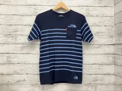 THE NORTH FACE／半袖Tシャツ／CEO A POCKET TEE／ストライプ／ブルー系
