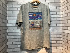 Patagoniaパタゴニア 半袖Tシャツ キャプリーンクールディリーグレー Mサイズ アウトドア
