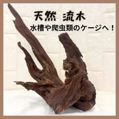 自然木 根杢 根卓 飾り台 花台 盆栽台 瘤木 和モダン オブジェ 36cm