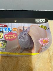 Item thumbnail for item 0bbe5400-bb10-418b-8403-dd451c1ae201