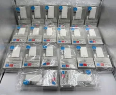 20個　ソフトバンク 純正　SB-AC20-TCPD　急速充電PD　タイプC　USB Type-C　未使用　外箱あり