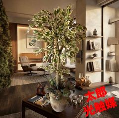 光触媒 人工観葉植物 ウォールグリーン フェイクグリーン 斑入り 