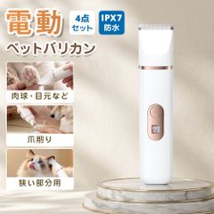 Item thumbnail for item 270d9b4d-64d8-4923-9805-5110f80d858d