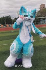 Fursuit Kigurumi ケモノ 着ぐるみ 狼 アトラク コスプレ - メルカリ