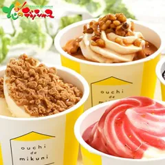 【予約/6月中旬(6月19日頃)～お届け開始】 三國清三監修 北海道リッチアイス 10個 (冷凍便) AH-MKR 2026 夏ギフト お中元 ギフト 贈り物 お祝い お礼 内祝い 誕生日 プレゼント 家庭用 カップ アイス スイーツ ヤバケイ お取り寄せ