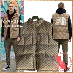 【超希少】【即発送】GUCCI×THE NORTHFACEコラボ ダウンベスト 背面刺繍Ver.
