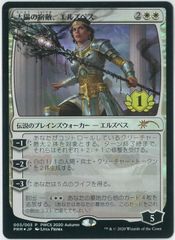 FOIL/MTG/日本語版/太陽の宿敵、エルズペス/Elspeth, Sun's Nemesis
