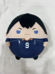 ハイキュー 影山 飛雄 ふわコロりんm