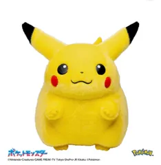 新品未使用 ぬいぐるみ　おかえり！ピカチュウ1/1